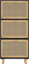 vidaXL - Schoenenkast - 52x25x115 - cm - bewerkt - hout - en - rattan - zwart