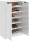 vidaXL - Schoenenkast - 59x35x100 - cm - bewerkt - hout - hoogglans - wit