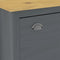 vidaXL - Schoenenkast - Hill - 72x35x124 - cm - massief - grenenhout - grijs