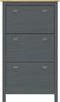 vidaXL - Schoenenkast - Hill - 72x35x124 - cm - massief - grenenhout - grijs