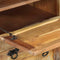 vidaXL - Schoenenkast - met - lade - 4-laags - massief - gerecycled - hout