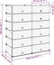 vidaXL - Schoenenrek - 94,5x36,5x106 - cm - polypropeen - transparant
