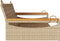 vidaXL - Schommelbank - 109x62x40 - cm - poly - rattan - beige