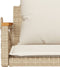 vidaXL - Schommelbank - met - kussens - 63x62x40 - cm - poly - rattan - beige