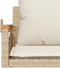 vidaXL - Schommelbank - met - kussens - 63x62x40 - cm - poly - rattan - beige