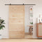 vidaXL - Schuifdeur - 100x208 - cm - massief - grenenhout