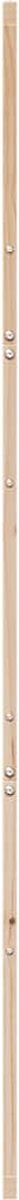 vidaXL - Schuifdeur - 100x208 - cm - massief - grenenhout