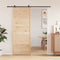 vidaXL - Schuifdeur - 80x208 - cm - massief - grenenhout