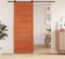 vidaXL - Schuifdeur - 80x208 - cm - massief - grenenhout - wasbruin
