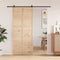 vidaXL - Schuifdeur - 90x208 - cm - massief - grenenhout