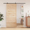 vidaXL - Schuifdeur - 90x208 - cm - massief - grenenhout