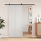 vidaXL - Schuifdeur - 90x208 - cm - massief - grenenhout - wit