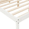 vidaXL - Seniorenbed - massief - grenenhout - wit - 150x200 - cm