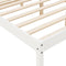 vidaXL - Seniorenbed - massief - grenenhout - wit - 160x200 - cm