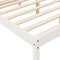 vidaXL - Seniorenbed - massief - grenenhout - wit - 180x200 - cm