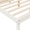 vidaXL - Seniorenbed - massief - grenenhout - wit - 90x190 - cm