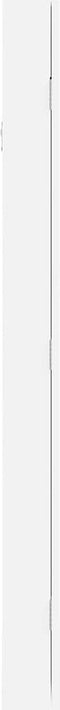 vidaXL - Sieradenkast - met - spiegel - wandgemonteerd - 30x8,5x106 - cm - wit