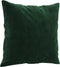 vidaXL - Sierkussens - 2 - st - 40x40 - cm - fluweel - donkergroen