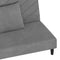 vidaXL - Slaapbank - 2-zits - met - 2 - kussens - fluweel - lichtgrijs