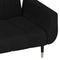 vidaXL - Slaapbank - 2-zits - met - 2 - kussens - fluweel - zwart