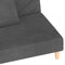 vidaXL - Slaapbank - 2-zits - met - 2 - kussens - stof - donkergrijs