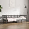 vidaXL - Slaapbank - 80x200 - cm - massief - grenenhout - grijs