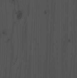 vidaXL - Slaapbank - 90x200 - cm - massief - grenenhout - grijs