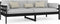 vidaXL - Slaapbank - massief - grenenhout - zwart - 90x200 - cm