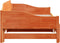 vidaXL - Slaapbank - met - onderschuifbed - 90x200 - cm - massief - grenenhout