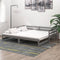 vidaXL - Slaapbank - uitschuifbaar - massief - grenenhout - grijs - 2x(90x200) - cm