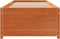 vidaXL - Slaapbank - zonder - matras - 80x200 - cm - massief - grenenhout - wasbruin
