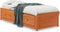 vidaXL - Slaapbank - zonder - matras - 90x190 - cm - massief - grenenhout - wasbruin