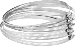 vidaXL - Slangklemmen - 6 - st - 91-220 - mm - roestvrij - staal - 304