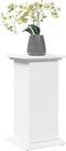 vidaXL - Sokkel - met - opbergruimte - 31x30x60 - cm - bewerkt - hout - wit