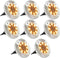 vidaXL Solargrondlampen 8 st LED-lichten warm wit