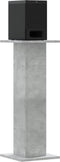 vidaXL - Speakerstandaards - 2 - st - 30x30x80 - cm - bewerkt - hout - betongrijs