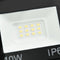 vidaXL Spotlights 2 st LED 10 W koudwit
