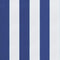 vidaXL - Stoelkussens - 2 - st - 50x50x7 - cm - stof - gestreept - wit - en - blauw