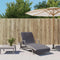 vidaXL - Strandhanddoeken - 2 - st - 400 - g/m² - 75x200 - cm - stof - antracietkleurig