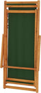 vidaXL - Strandstoel - inklapbaar - eucalyptushout - en - stof - groen