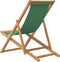 vidaXL - Strandstoel - inklapbaar - massief - teakhout - groen