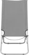 vidaXL - Strandstoelen - 2 - st - inklapbaar - stof - grijs