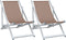 vidaXL - Strandstoelen - inklapbaar - 2 - st - aluminium - en - textileen - bruin