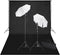 vidaXL - Studioset - met - witte - achtergrond - en - lampen - 600x300 - cm
