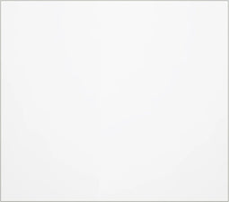 vidaXL - Tafelbeschermer - 100x90 - cm - 2 - mm - PVC - transparant