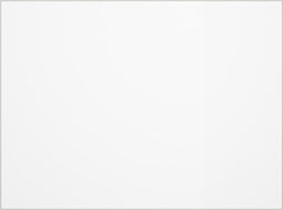 vidaXL - Tafelbeschermer - 120x90 - cm - 2 - mm - PVC - transparant