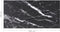 vidaXL - Tafelblad - 100x50 - cm - 6 - mm - gehard - glas - met - marmeren - design - zwart