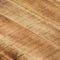 vidaXL - Tafelblad - 120x60x(1,5-1,6) - cm - ruw - mangohout