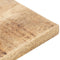 vidaXL - Tafelblad - 15-16 - mm - 90x60 - cm - massief - mangohout