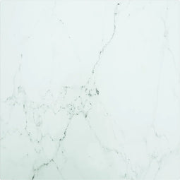 vidaXL - Tafelblad - 40x40 - cm - 6 - mm - gehard - glas - met - marmeren - design - wit